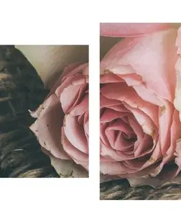 Vintage a retro obrazy 5-dílný obraz růže v jutě