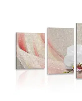 Obrazy květů 5-dílný obraz bílá orchidej na plátně