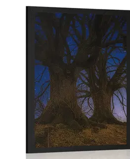 Příroda Plakát stromy v noční krajině