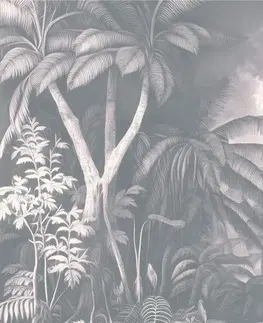 Tapety stromy Tapeta jemné tropické palmy