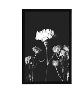 Černobílé Plakát elegantní černobílé květiny