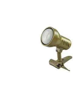 Lampy  Lampa s klipem KM 1xE14/24W/230V zlatá 