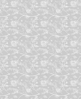 Tapety zvířata Tapeta nádherné ptáčky v šedém