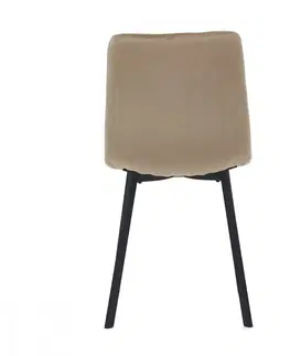 Jídelní sety Jídelní židle DCL-973 Autronic Zelená