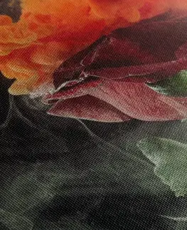 Obrazy květů Obraz růže s abstraktními prvky