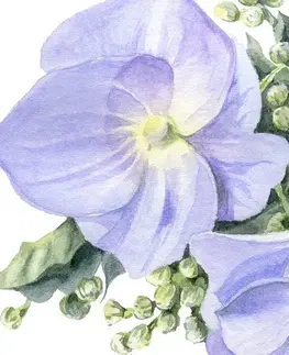 Obrazy květů Obraz jemná kompozice květin
