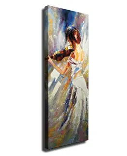 Obrazy Wallity Obraz na plátně Violin beauty PC206 30x80 cm