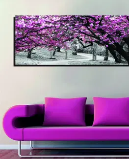 Obrazy Wallity Obraz na plátně Cherry tree alley PC017 30x80 cm