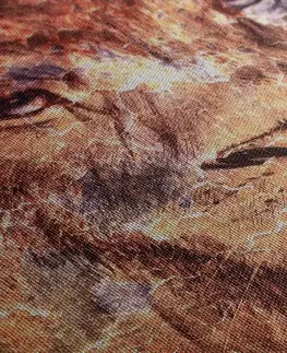 Obrazy zvířat Obraz tvář lva