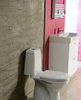 Záchody AQUALINE RIGA WC kombi, dvojtlačítko 3/6l, spodní odpad, bílá RG801