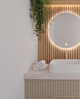 Zrcadla Zrcadlo s LED osvětlením Orandiu A, 60 cm