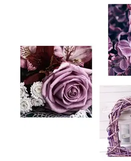 Sestavy obrazů Set obrazů nádherné fialové květiny se srdíčkem