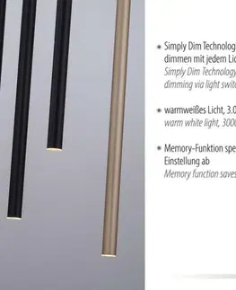 Designová závěsná svítidla PAUL NEUHAUS LED závěsné svítidlo černá / matná mosaz 10 ramenné stmívatelné paměťová funkce SimplyDim 3000K PN 2110-18