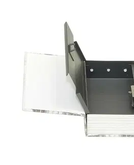 Trezory Bezpečnostní schránka Pisa, 12 x 18 x 5 cm TS.0209.M
