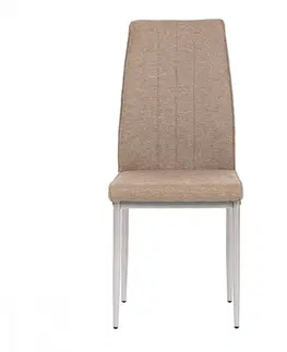 Židle Jídelní židle DCL-379 Autronic Šedá