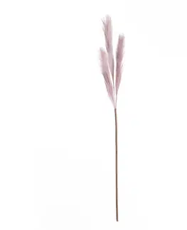 Umělé květiny Pampová tráva 100cm lilac