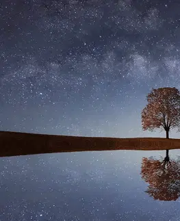 Samolepící tapety Samolepící fototapeta hvězdná obloha nad osamělým stromem