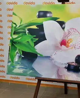 Obrazy Feng Shui Obraz japonská orchidej