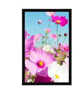 Květiny Plakát louka jarních květin