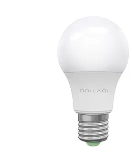 LED osvětlení Brilagi LED Žárovka ECOLINE A60 E27/15W/230V 4000K - Brilagi 