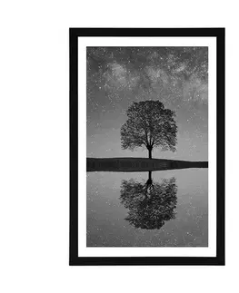 Černobílé Plakát s paspartou hvězdná obloha nad osamělým stromem v černobílém provedení