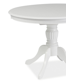 Jídelní stoly Jídelní stůl TARZO, bílá