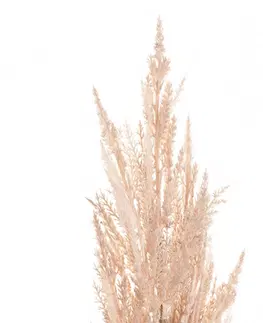 Umělé květiny Větvička pampové trávy  91cm pink