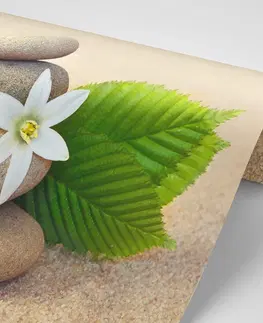 Samolepící tapety Samolepící fototapeta bílý květ a kameny v písku