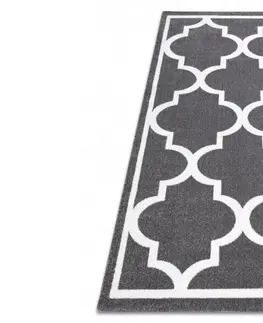 Koberce a koberečky Dywany Lusczow Kusový koberec SKETCH KIERAN šedý  / bílý trellis, velikost 240x330