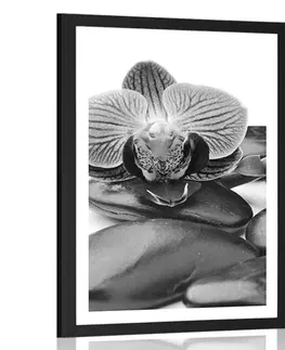 Černobílé Plakát s paspartou masážní wellness kameny v černobílém provedení