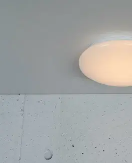 LED stropní svítidla NORDLUX stropní svítidlo Montone 25 8W LED bílá 2015176101