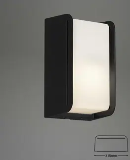 LED venkovní nástěnná svítidla BRILONER Venkovní svítidlo 21,5 cm 1x E27 12W černá IP44 BRILO 3016-015