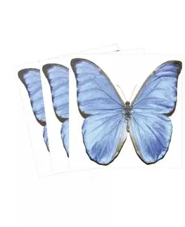 Nálepky Vyříznuté dekorační nálepky motýli