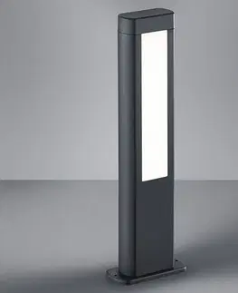 Sloupková světla Trio Lighting Výška 50cm LED světlo s podstavcem Rhine