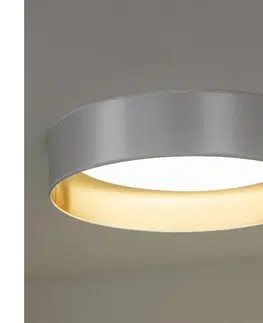 Svítidla   - LED Stropní svítidlo ROLLER LED/24W/230V stříbrná/zlatá 