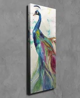 Obrazy Wallity Obraz na plátně Peacock PC118 30x80 cm