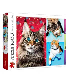 Hry, zábava a dárky Puzzle 1000 dílků "Šťastné kočky"