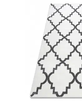 Koberce a koberečky Dywany Lusczow Kusový koberec SKETCH CAMERON bílý /šedý trellis, velikost 160x220