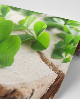 Samolepící tapety Samolepící fototapeta zelené čtyřlístky