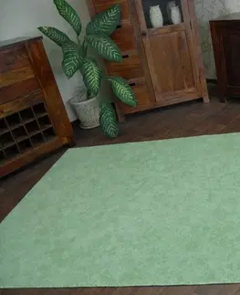 Koberce a koberečky Dywany Lusczow Kusový koberec SERENADE Hagy zelený, velikost 300x450