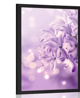 Květiny Plakát fialový květ šeříku