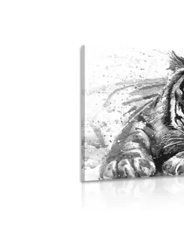 Černobílé obrazy Obraz predátor zvířat v černobílém provedení