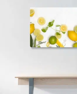 Obrazy jídla a nápoje Obraz mix citrusových plodů