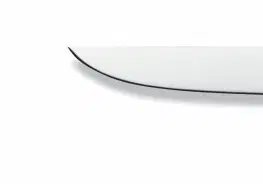 Kuchyňské nože F. Dick Pro-Dynamic vykosťovací 15 cm