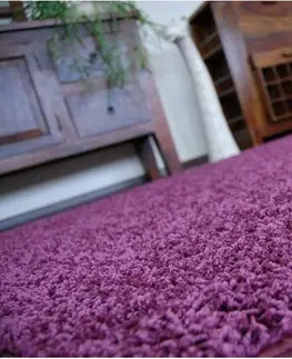 Koberce a koberečky Dywany Lusczow Kusový koberec SHAGGY Izebelie 5cm fialový, velikost 250x400