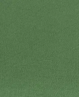 Prostěradla 4Home jersey prostěradlo olivově zelená, 180 x 200 cm