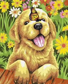 Zvířata Malování podle čísel hravý pes s motýlem