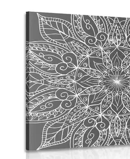 Černobílé obrazy Obraz textura Mandaly v černobílém provedení