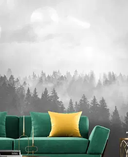 Černobílé tapety Fototapeta černobílá mlha nad lesem