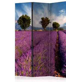 Paravány Paraván Lavender field in Provence, France Dekorhome 135x172 cm (3-dílný)